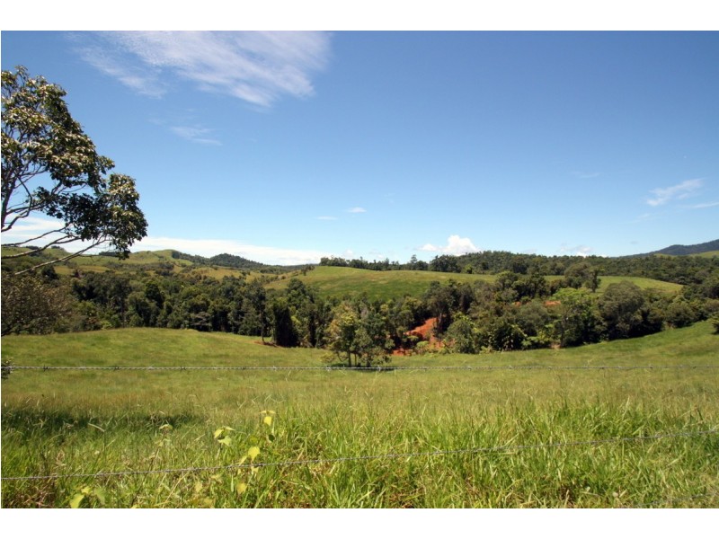 Millaa Millaa QLD 4886