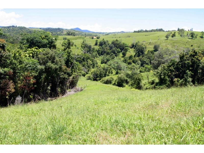 Millaa Millaa QLD 4886