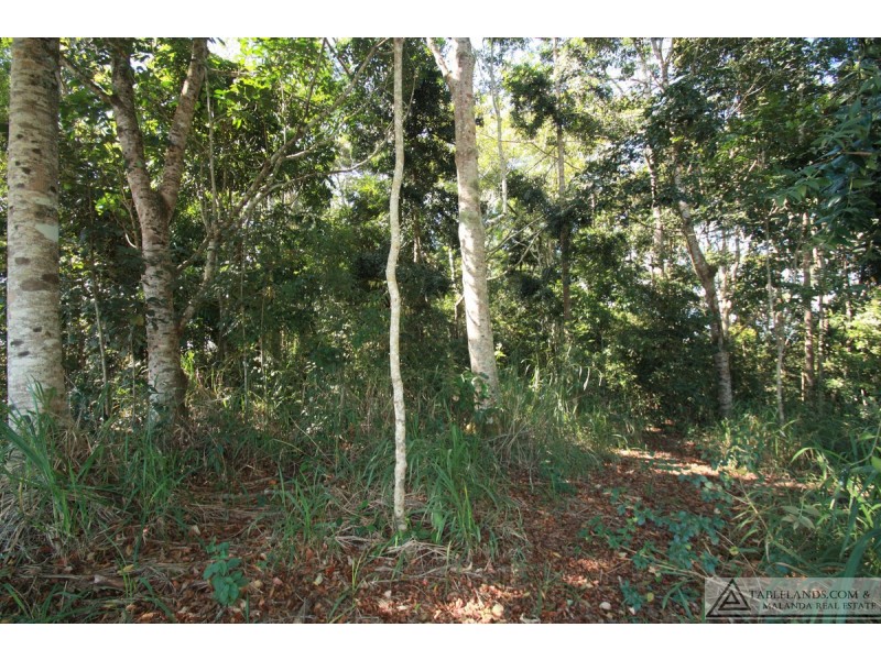 Upper Barron QLD 4883