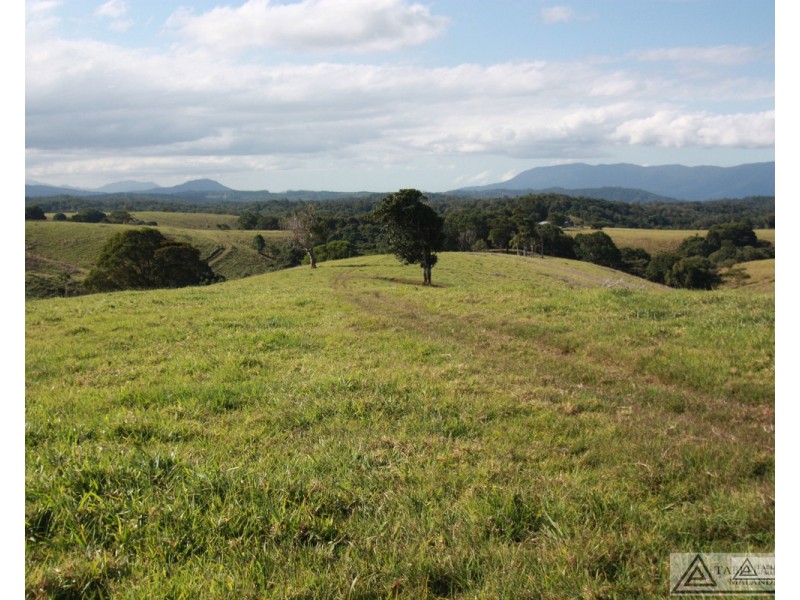Butchers Creek QLD 4885