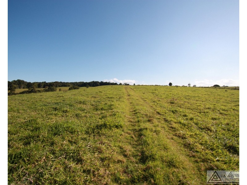 Butchers Creek QLD 4885