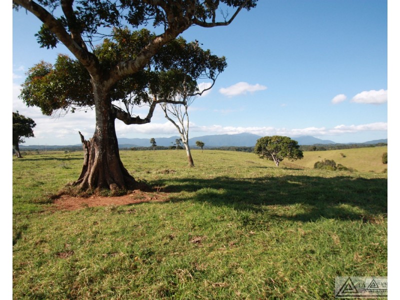 Butchers Creek QLD 4885