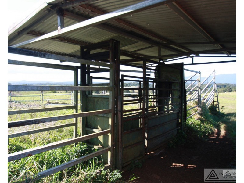 Butchers Creek QLD 4885