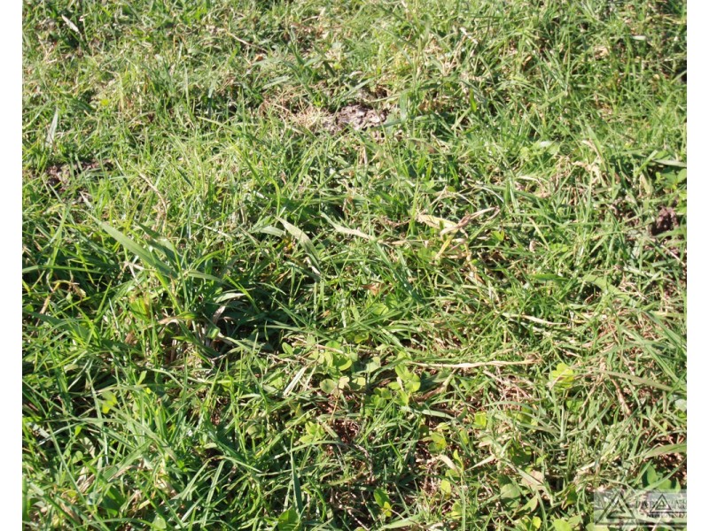 Butchers Creek QLD 4885