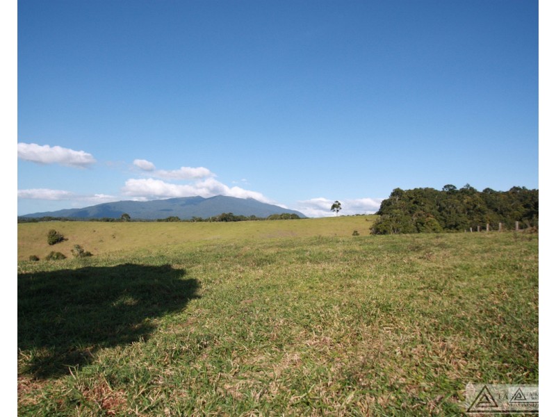 Butchers Creek QLD 4885