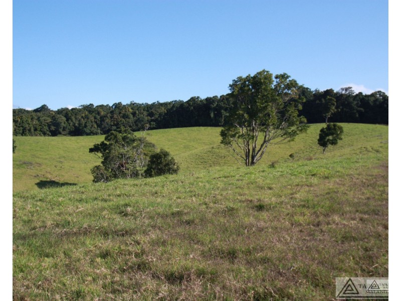 Butchers Creek QLD 4885