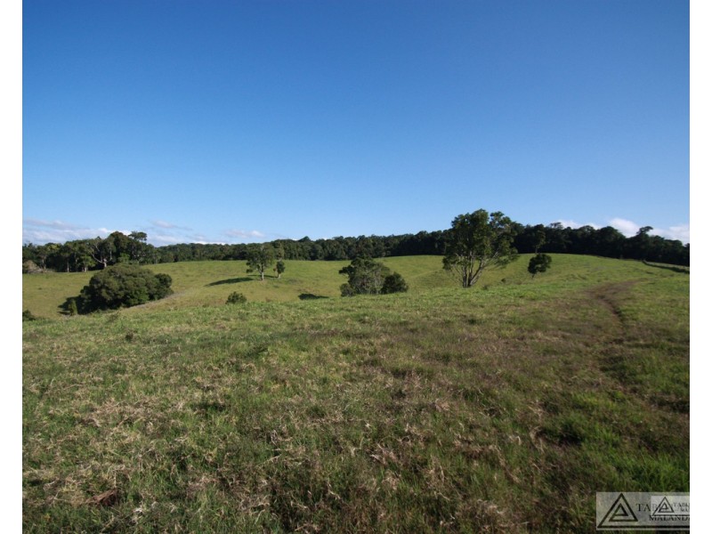 Butchers Creek QLD 4885