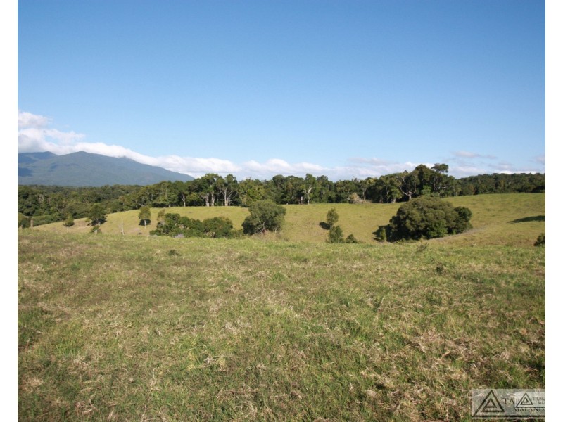 Butchers Creek QLD 4885