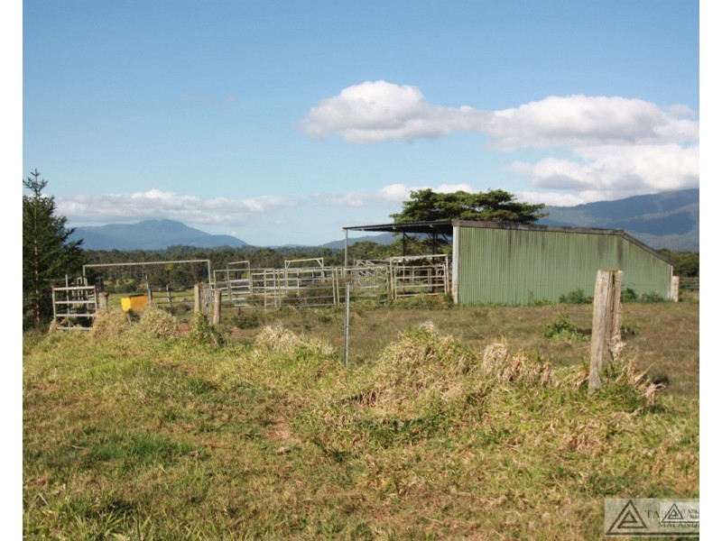 Butchers Creek QLD 4885