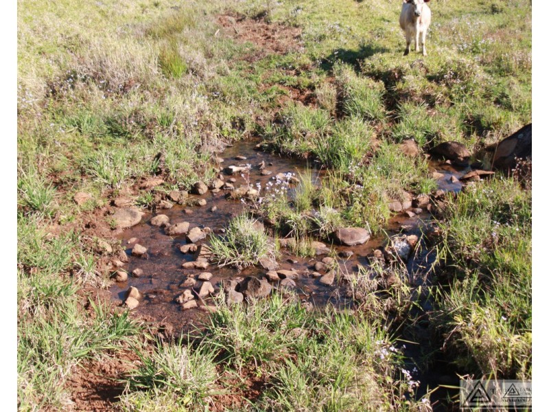 Butchers Creek QLD 4885