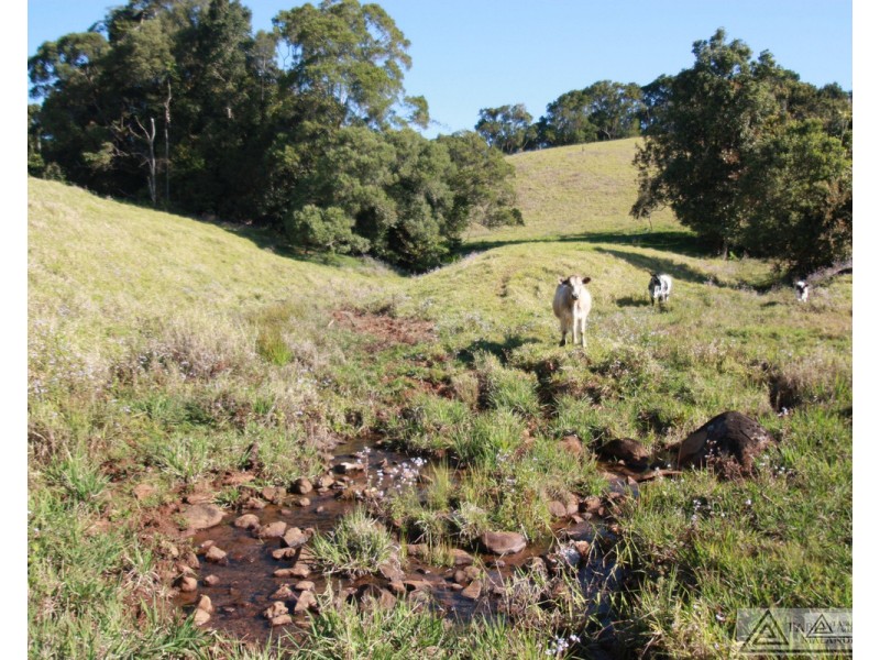 Butchers Creek QLD 4885