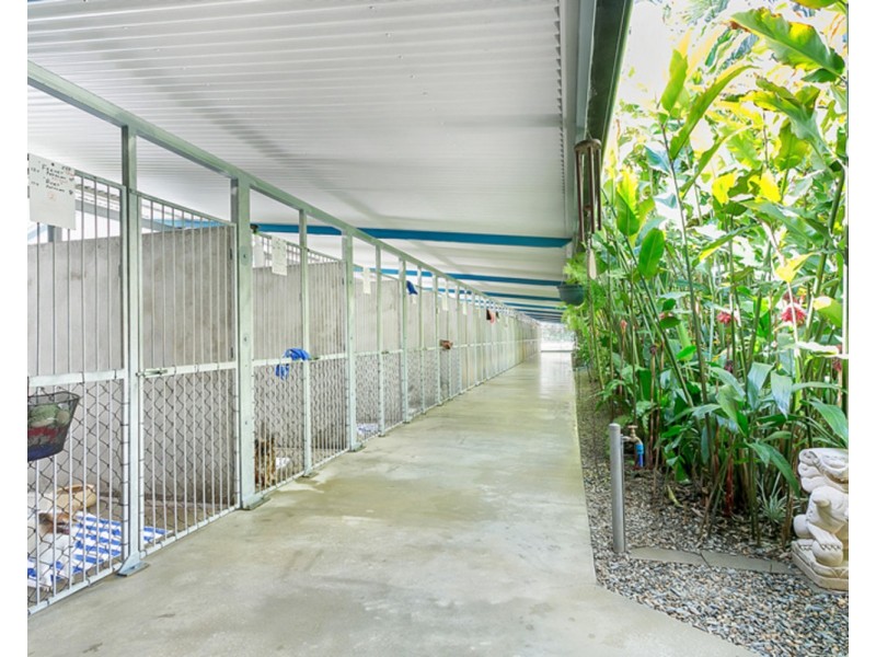 Kuranda QLD 4881