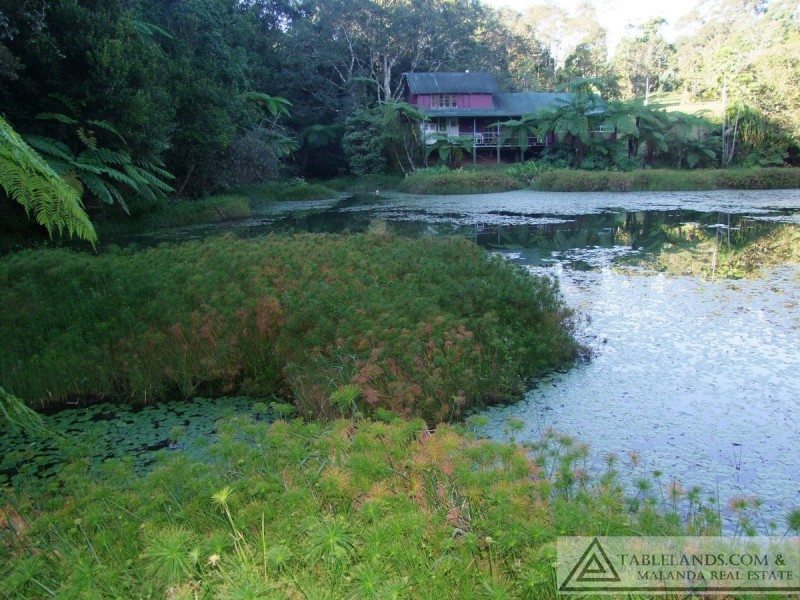 Millaa Millaa QLD 4886