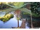 Millaa Millaa QLD 4886