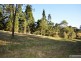 Millaa Millaa QLD 4886