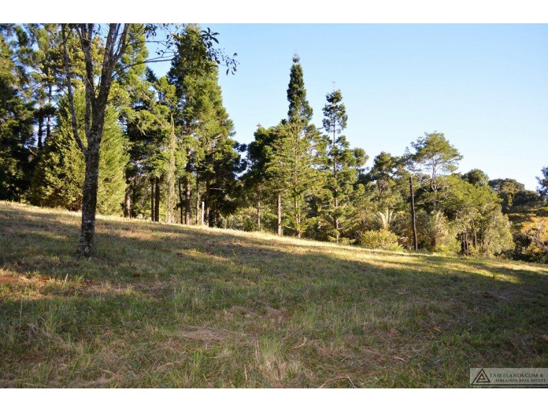 Millaa Millaa QLD 4886