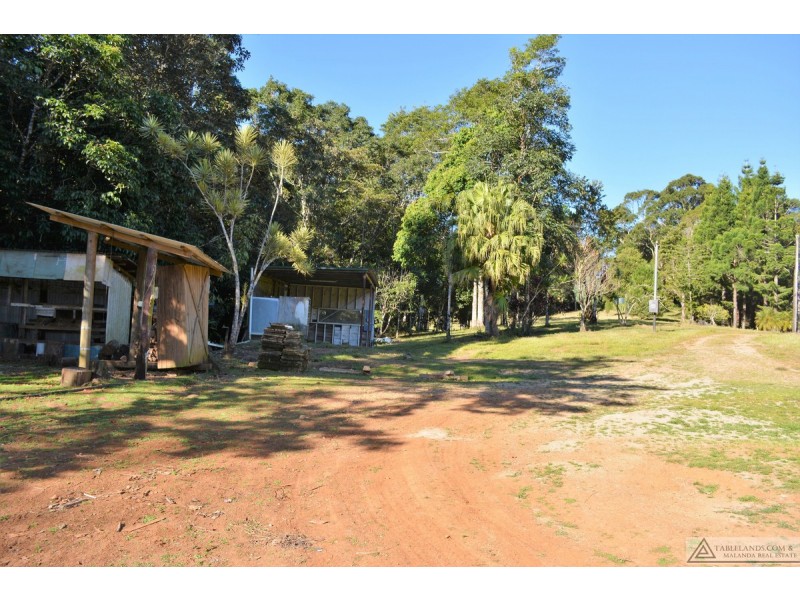 Millaa Millaa QLD 4886