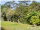 Millaa Millaa QLD 4886