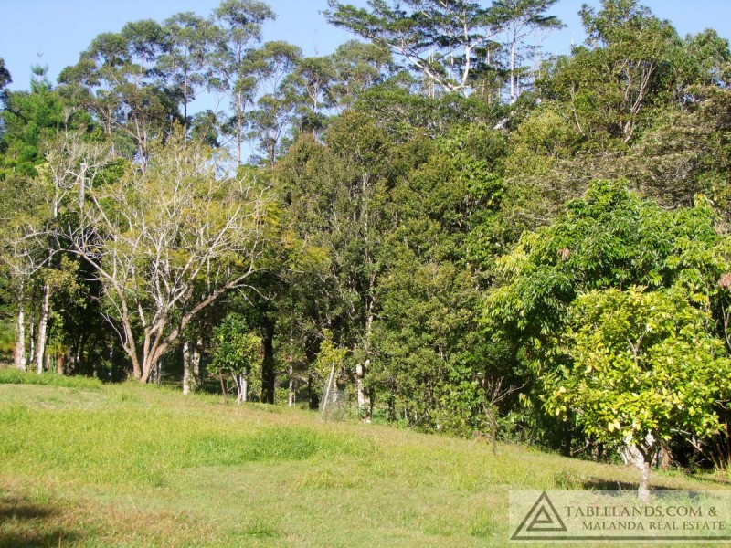 Millaa Millaa QLD 4886