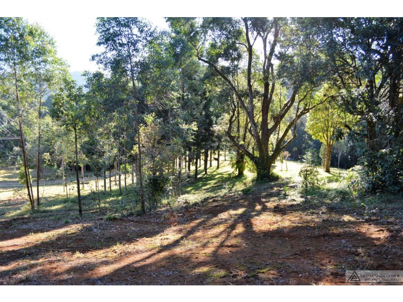 Millaa Millaa QLD 4886
