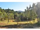 Millaa Millaa QLD 4886