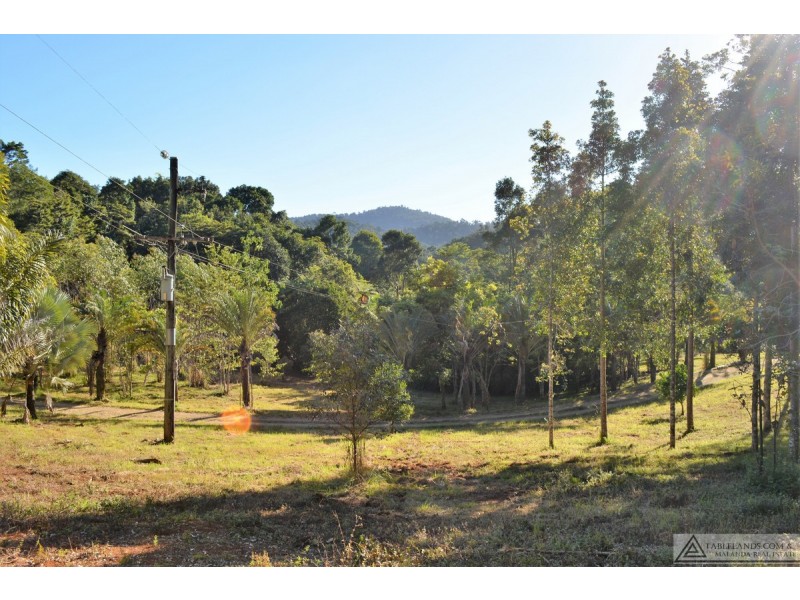 Millaa Millaa QLD 4886