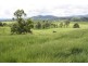 Millaa Millaa QLD 4886
