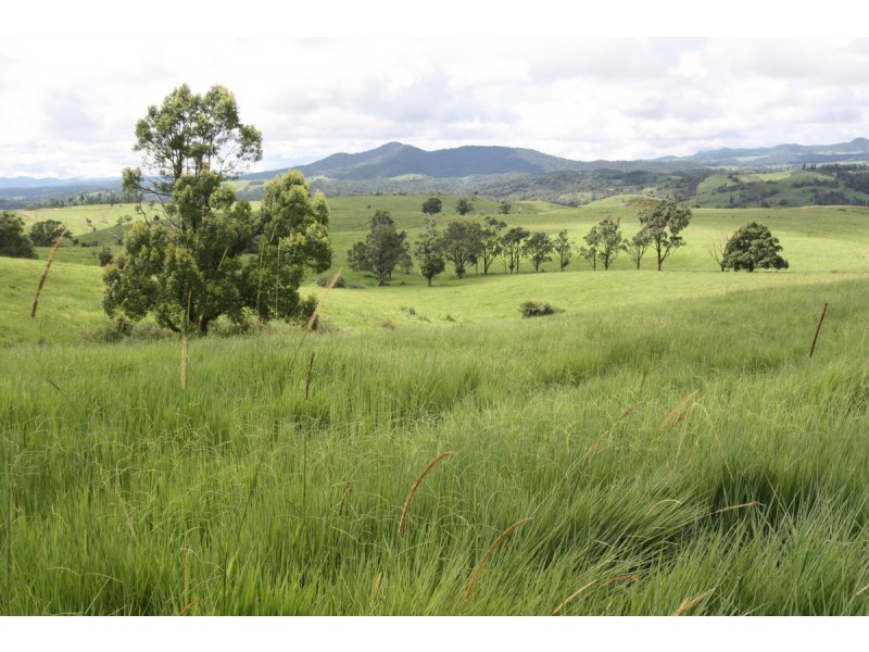 Millaa Millaa QLD 4886