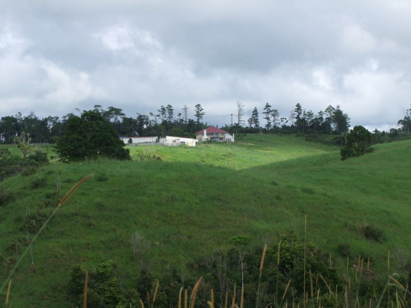 Millaa Millaa QLD 4886