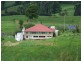 Millaa Millaa QLD 4886