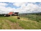 Millaa Millaa QLD 4886