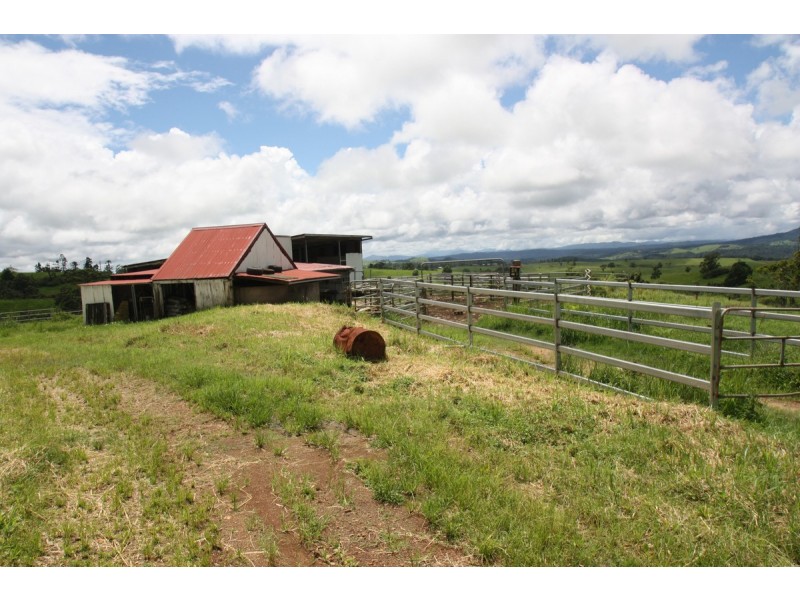 Millaa Millaa QLD 4886