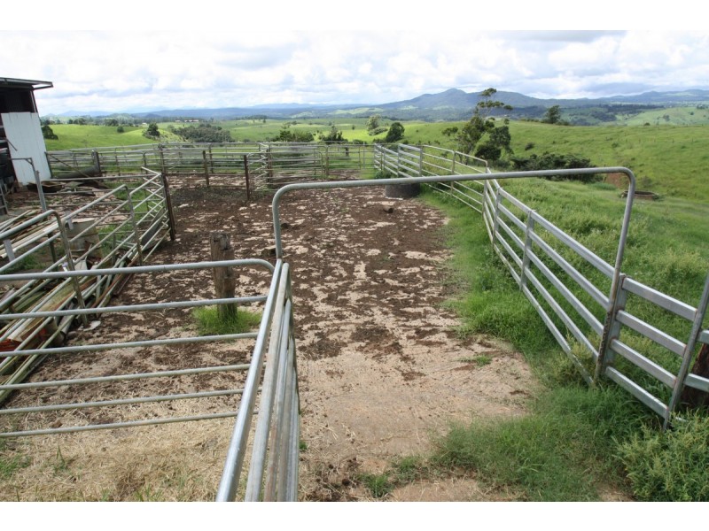 Millaa Millaa QLD 4886
