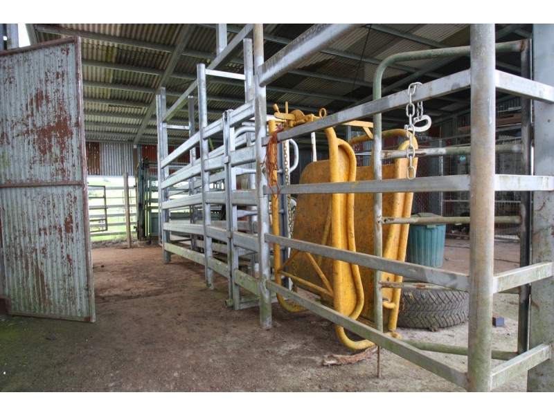 Millaa Millaa QLD 4886