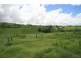 Millaa Millaa QLD 4886