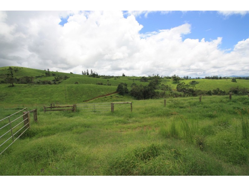 Millaa Millaa QLD 4886