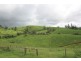 Millaa Millaa QLD 4886