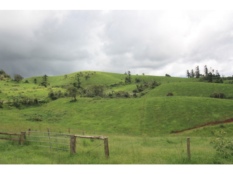 Millaa Millaa QLD 4886
