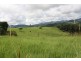 Millaa Millaa QLD 4886