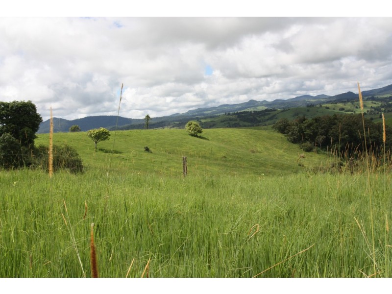 Millaa Millaa QLD 4886