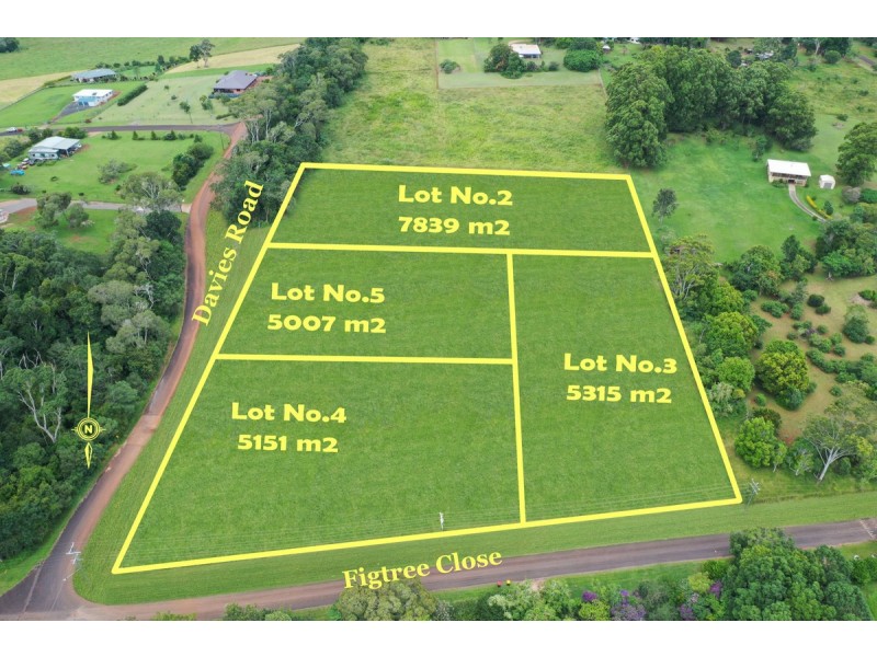 L1566  Lot 2 – 5 Figtree Close, Malanda QLD 4885