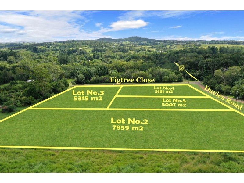 L1566  Lot 2 – 5 Figtree Close, Malanda QLD 4885