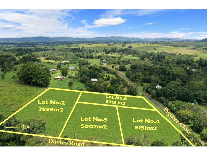 L1566  Lot 2 – 5 Figtree Close, Malanda QLD 4885