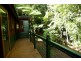 Millaa Millaa QLD 4886
