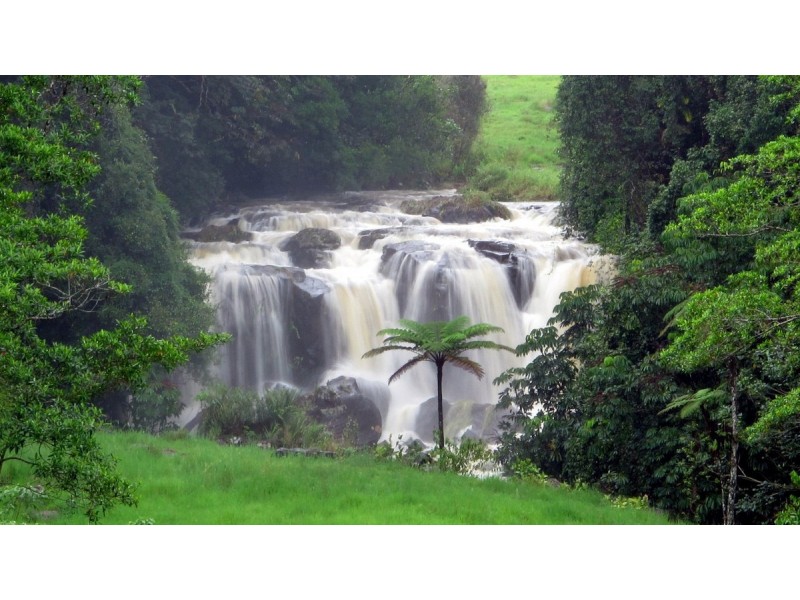 Millaa Millaa QLD 4886