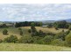 Tarzali QLD 4885