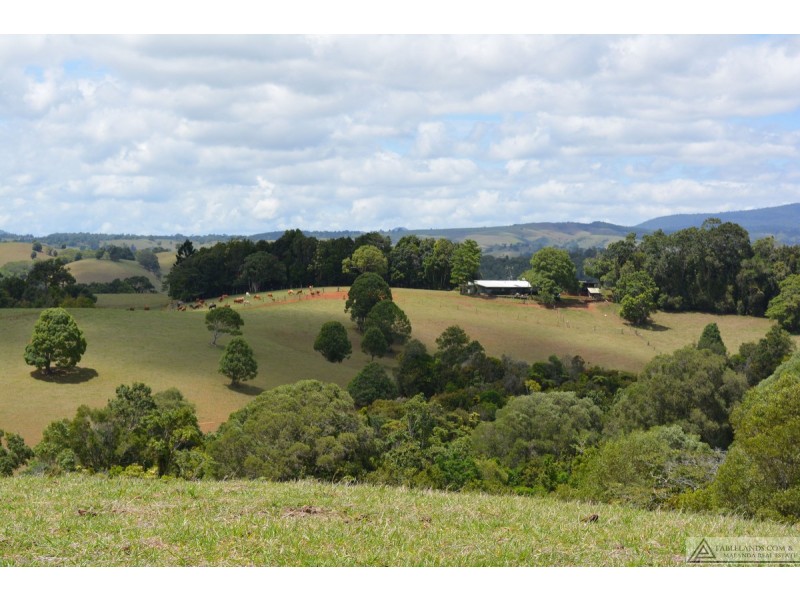 Tarzali QLD 4885