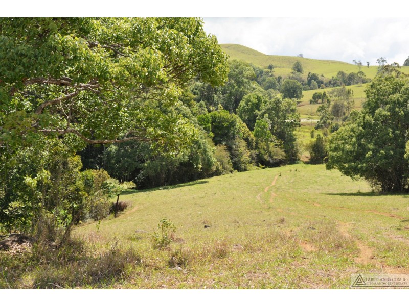 Tarzali QLD 4885