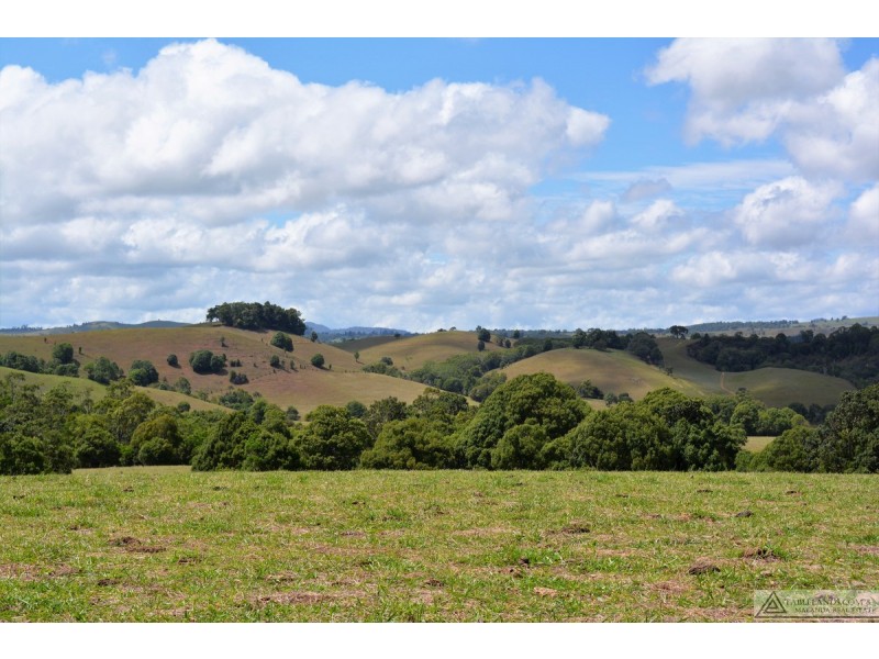 Tarzali QLD 4885
