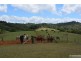 Tarzali QLD 4885